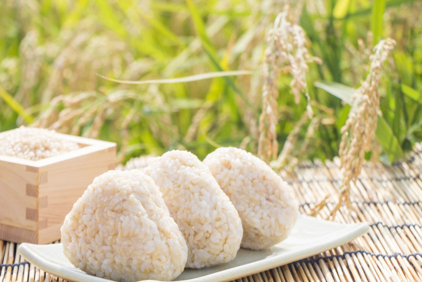 庄内 平野 の 米 作り